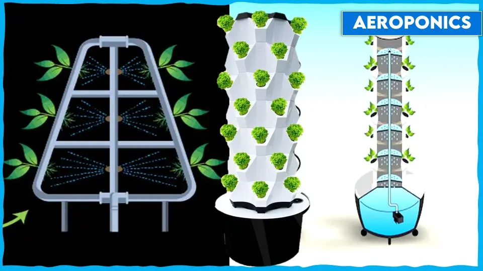 Aeroponics -types of hydroponics system