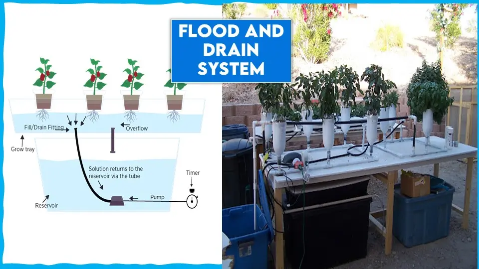 Flood and Drain System