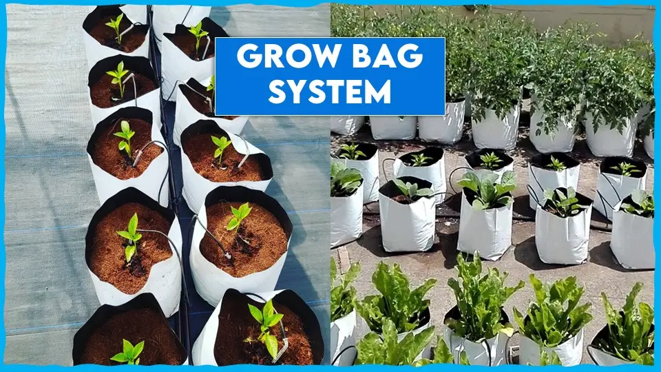 Grow Bag hydroponics System