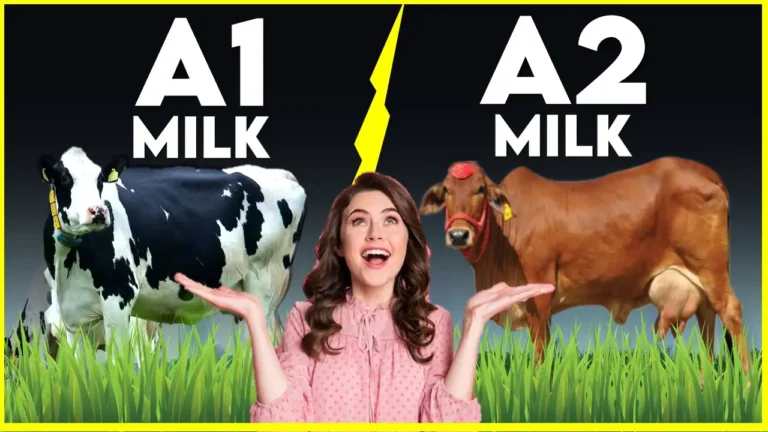 Difference between A1 and A2 milk