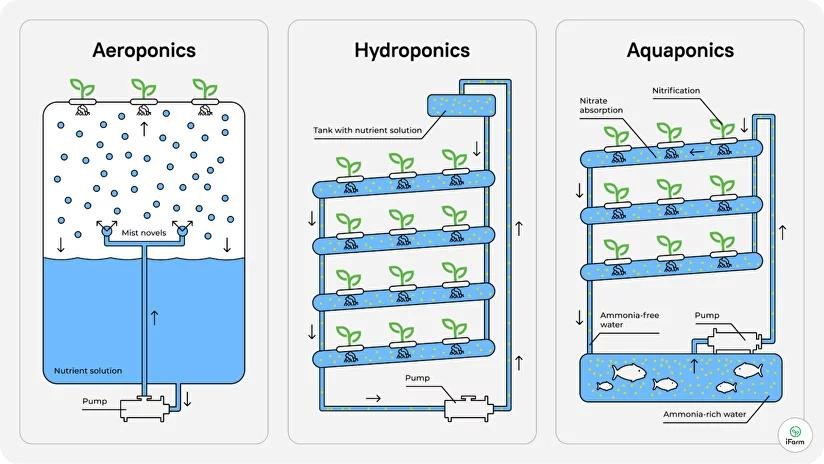 Types of Vertical Farming | iFarm