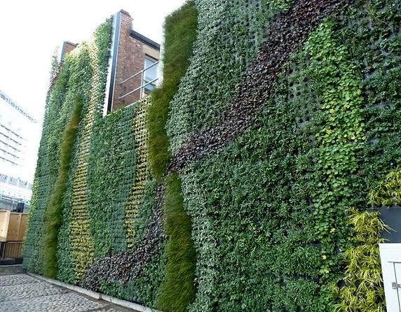 Green Facade Walls | green walls