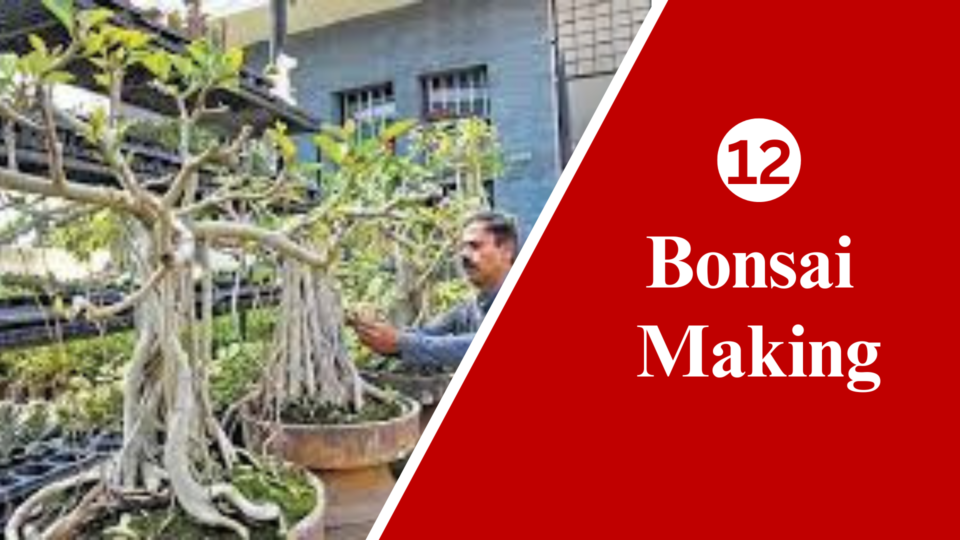 Bonsai Making