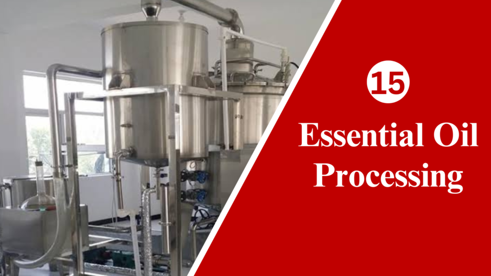 Essential oil processing 